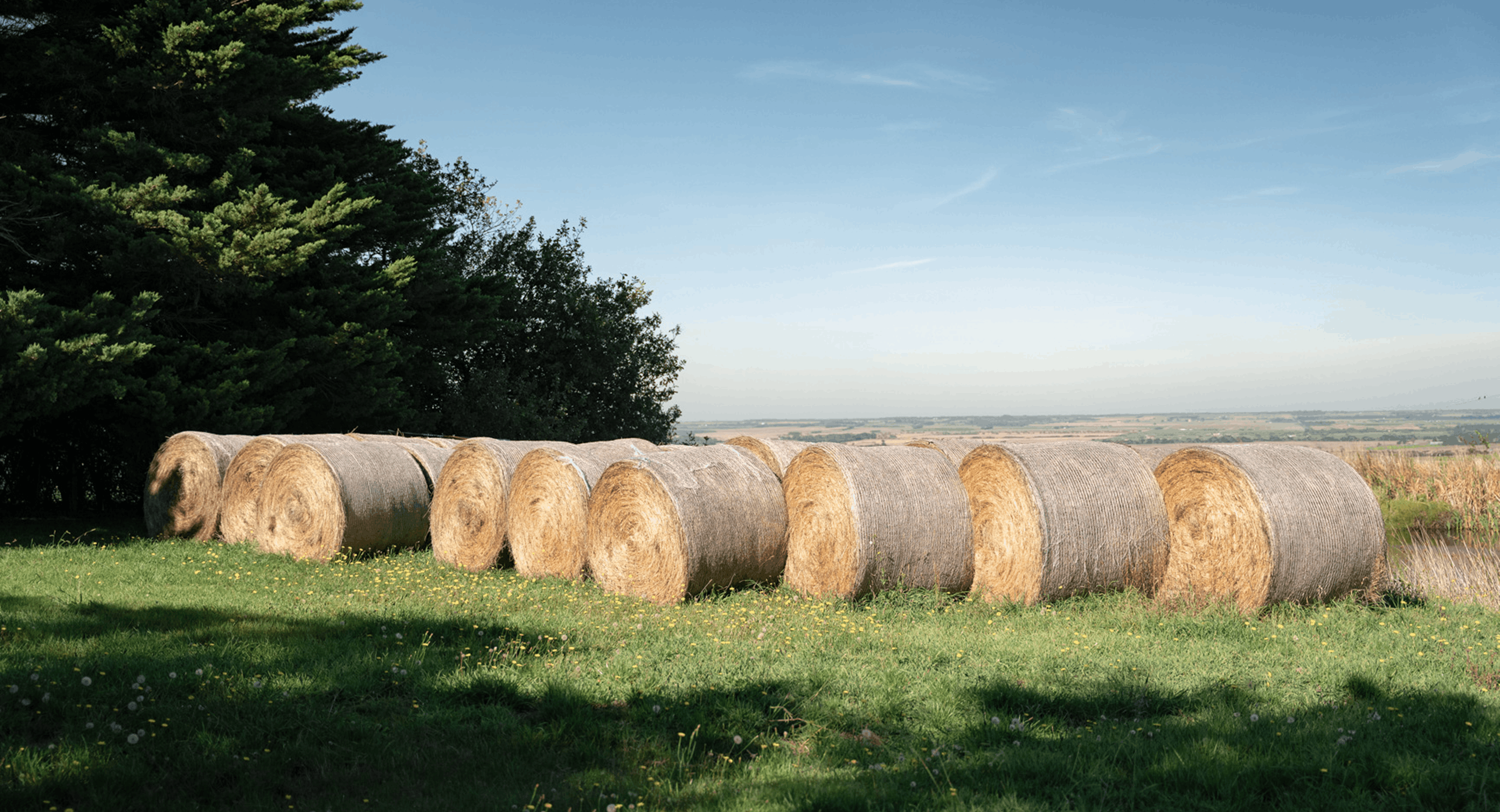 Landholder Engagement Resourcing